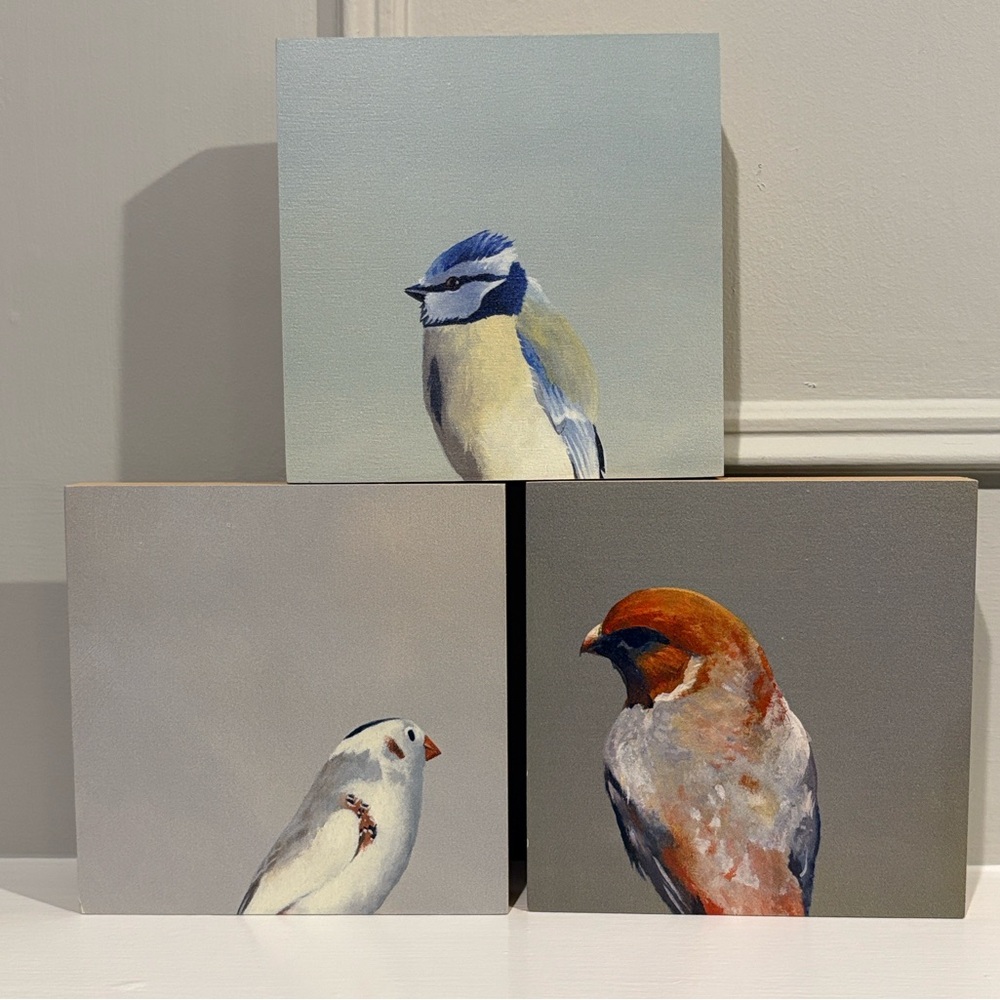 Set of Three 6” x 6” Wood Bird Prints By Matt Adrian